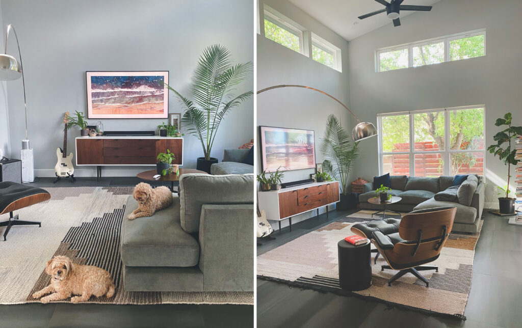 Cozy living room with plants and dogs